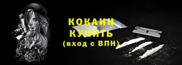 гашик Аркадак