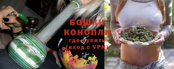 гашик Аркадак