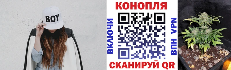 Бошки Шишки Bruce Banner  Саяногорск 