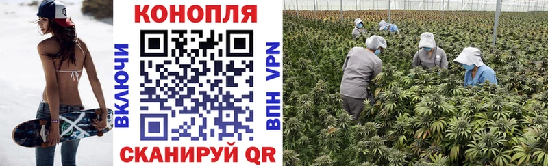 Бошки марихуана White Widow Саяногорск